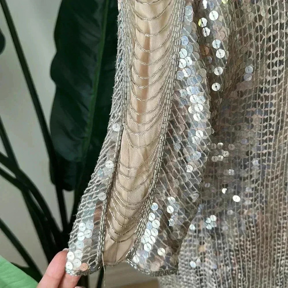 Haute Hippie XS Silver Sequence dress - Picture 5 of 12